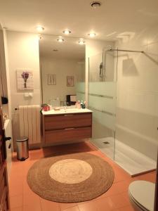 a bathroom with a sink and a shower with a mirror at Legado de San Ignacio, Peñafiel-Hasta 14 personas y parking privado in Peñafiel