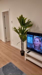 a living room with a tv and a potted plant at Central Luxe in Surrey +18 photos