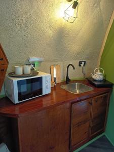 a microwave sitting on a wooden counter with a sink at Aires de Berna in Villa Berna