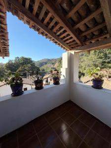 a room with potted plants on a window sill at Hotel del Pozo in San Sebastián del Oeste