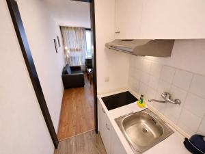 a kitchen with a sink and a counter top at Studio Robert mit Pool und Sauna in Freyung