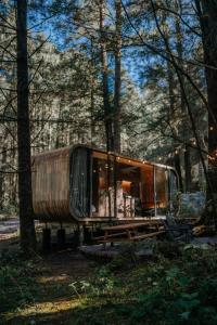 a train car sitting in the middle of a forest at WANDER Cabins Villa Alpina in Villa Alpina