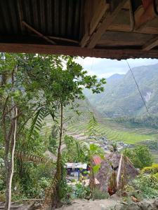 a view of a valley from a house with a tree at Batad Lhorens Inn and Restaurant in Banaue +48 photos