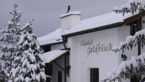 a building covered in snow with a bird on top at Chalet Goldblick in Grächen