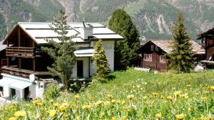 a house on a hill with a field of flowers at Chalet Goldblick in Grächen