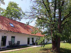 a house with a tree in the yard at Doppelhaushälfte Seestern, Lohmen in Lohmen