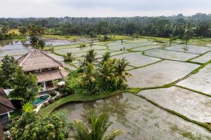 an aerial view of a rice field and a house at Villa Fafa by BaliSuperHost in Ubud