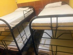 two bunk beds in a room with a yellow wall at Hostal Los Cheles in León