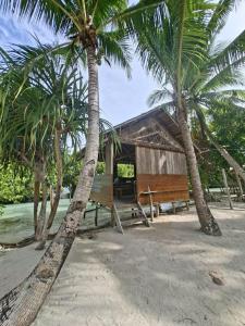 a building with a bench and palm trees on the beach at Kombrof Homestay & Dive Center in Waisai