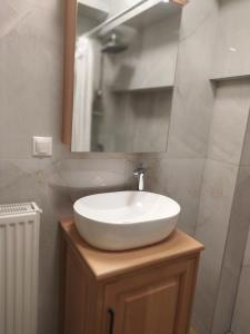 a bathroom with a white sink and a mirror at Metsovo apartment in Metsovo +4 photos