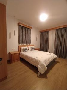 a bedroom with a large bed and a window at Metsovo apartment in Metsovo