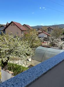 a view of a yard with flowering trees and a house at Apartament excepțional Ramona in Râmnicu Vâlcea