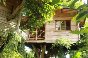 a tree house in the middle of a tree at Roots Tree House - Boutique Hotel - Uluwatu in Uluwatu