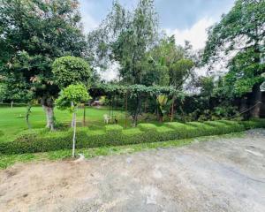 a garden with trees and bushes and a road at Aaliya Farm House in Dhauj