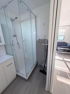 a bathroom with a glass shower with a sink at Claremont Comfort Cottage in Claremont