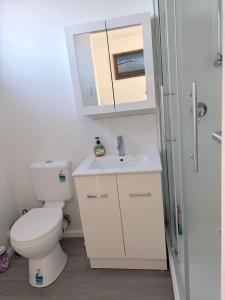 a bathroom with a toilet and a sink and a mirror at Claremont Comfort Cottage in Claremont