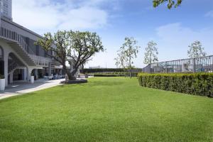 a grassy yard next to a building with a tree at Hyatt Regency Los Angeles International Airport in Los Angeles
