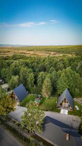 an overhead view of a house with a field and trees at Povestea din Munti in Arpaşu de Sus