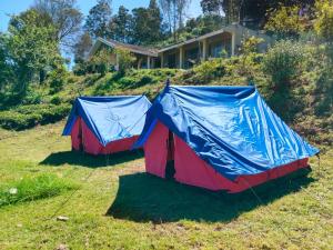 two tents on the grass in front of a house at Outside Space Resorts in Lovedale