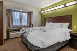 a hotel room with a large bed and a window at Sleep Inn & Suites Kalamazoo Southwest in Kalamazoo +27 photos