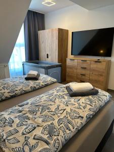 a bedroom with two beds and a flat screen tv at Ferienwohnung in Kassel mit zwei Schlafzimmer in Kassel