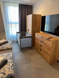 a living room with a tv and a dresser with a dresser at Ferienwohnung in Kassel mit zwei Schlafzimmer in Kassel