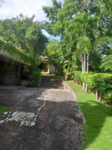 a driveway leading to a house with palm trees at Singa Villas in Ungasan