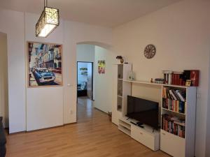 a living room with a television and a book shelf at Apartmán u parku in Prostějov