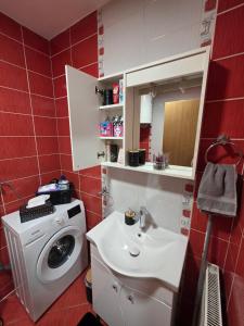 a bathroom with a washing machine and a sink at Apartman Anja'K in Doboj