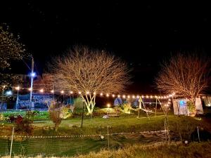 a park lit up with lights at night at Casa Gallo Music Room in Lamon
