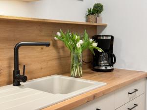 a vase of flowers sitting on a kitchen sink at Ferienwohnung Seeglück am Dümmer See in Lembruch +15 photos