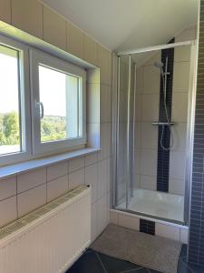 a bathroom with a shower and a window at Le Daguet pour 8 in Florenville +53 photos