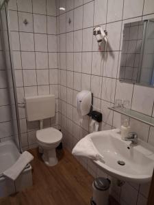 a bathroom with a toilet and a sink at Gaststätte Zur Hahnenquelle in Kirchhundem