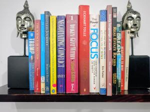 a shelf with books and statues on it at Vanilla Lee Guest House in Richards Bay