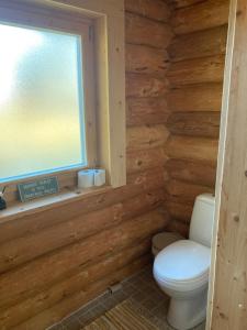 a bathroom with a toilet and a window at Kenu Saunamaja in Haapsalu