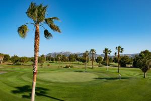a palm tree in front of a golf course at Oliva Nova Beach & Golf Hotel in Oliva