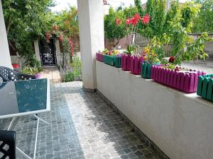 a row of colorful flower boxes on a wall at Casa Stoian in Costinesti