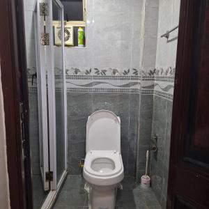 a small bathroom with a toilet in a stall at Zerani Homes in Ruaka +10 photos