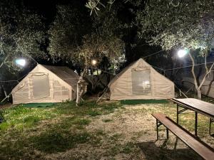 two tents in a field at night with a bench at Garden Lake Camping in Ksamil