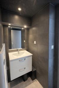 a bathroom with a sink and a mirror at La Maisonette à Lacrost in Lacrost