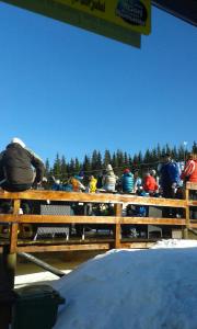 Ảnh trong thư viện ảnh của Pensiunea Carmen ở Ranca