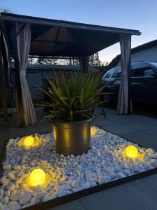 a potted plant and lights on a patio at Campingwohnung am Silbersee in Freiburg in Freiburg im Breisgau