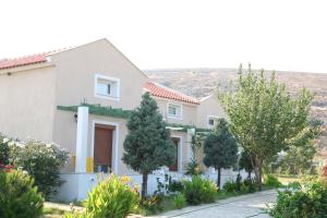 een huis met bomen voor een berg bij Sigrion Villas in Sígrion +7 foto's