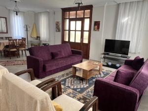 a living room with purple couches and a tv at Dalyan Villa in Dalyan