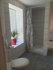 a bathroom with a shower and a toilet and a sink at Ferienhaus am DEISTER in Barsinghausen +49 photos