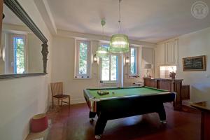a living room with a pool table in it at Le Clos des Soyeux in Saint-Victor-sur-Rhins