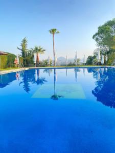 a large blue swimming pool with palm trees in the background at Hotel Meson Fuente del Pino in Olvera