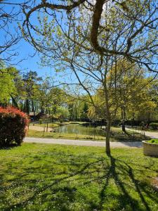 a tree in a park with a body of water at Chalet confort in Saint-Rémy
