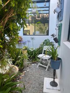 a patio with a bunch of plants and a window at Shelley Cove in Stompneusbaai