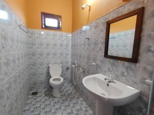 a bathroom with a sink and a toilet and a mirror at The zen inn in Nikawatawana